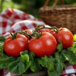 Tomatoes Image